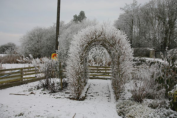 Wildlife Garden in Winter